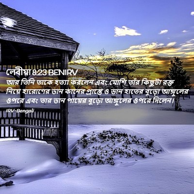 Picture 02 - লেবীয়া 8:23 BENIRV - আর তিনি তাকে হত্যা - Bible Verse Picture