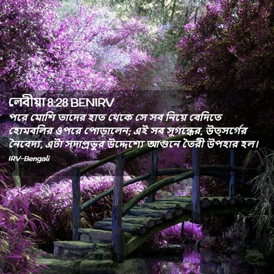 Picture 02 - লেবীয়া 8:28 BENIRV - পরে মোশি তাদের হাত - Bible Verse Picture