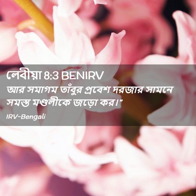 Picture 02 - লেবীয়া 8:3 BENIRV - আর সমাগম তাঁবুর - Bible Verse Picture