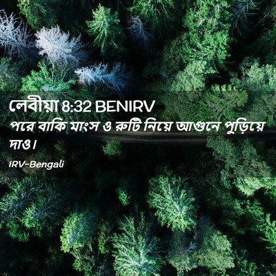 Picture 02 - লেবীয়া 8:32 BENIRV - পরে বাকি মাংস ও - Bible Verse Picture