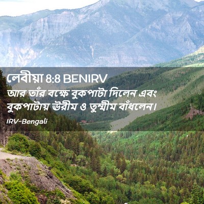 Picture 02 - লেবীয়া 8:8 BENIRV - আর তাঁর বক্ষে - Bible Verse Picture