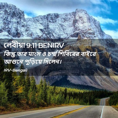 Picture 02 - লেবীয়া 9:11 BENIRV - কিন্তু তার মাংস ও - Bible Verse Picture