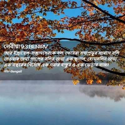 Picture 02 - লেবীয়া 9:3 BENIRV - আর - Bible Verse Picture