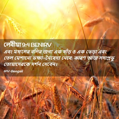 Picture 02 - লেবীয়া 9:4 BENIRV - এবং মঙ্গলের বলির - Bible Verse Picture