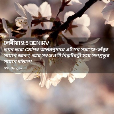 Picture 02 - লেবীয়া 9:5 BENIRV - তখন তারা মোশির - Bible Verse Picture