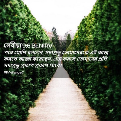 Picture 02 - লেবীয়া 9:6 BENIRV - পরে মোশি বললেন, - Bible Verse Picture