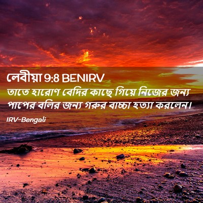 Picture 02 - লেবীয়া 9:8 BENIRV - তাতে হারোণ বেদির - Bible Verse Picture
