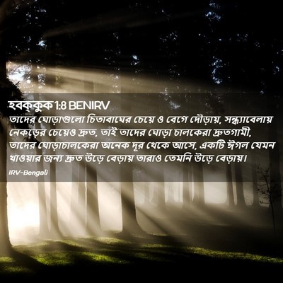 Picture 02 - হবক্কুক 1:8 BENIRV - তাদের ঘোড়াগুলো - Bible Verse Picture