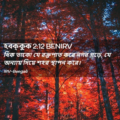 Picture 02 - হবক্কুক 2:12 BENIRV - ধিক তাকে! যে - Bible Verse Picture