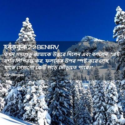 Picture 02 - হবক্কুক 2:2 BENIRV - তখন সদাপ্রভু - Bible Verse Picture