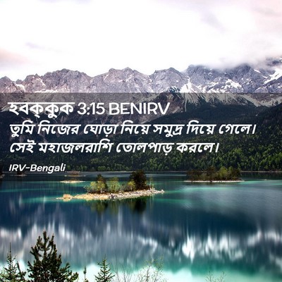 Picture 02 - হবক্কুক 3:15 BENIRV - তুমি নিজের ঘোড়া - Bible Verse Picture