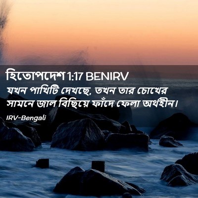 Picture 02 - হিতোপদেশ 1:17 BENIRV - যখন পাখিটি দেখছে, - Bible Verse Picture