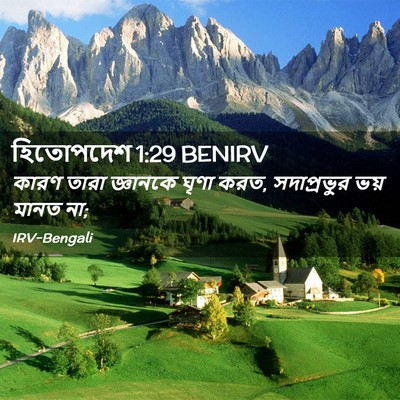 Picture 02 - হিতোপদেশ 1:29 BENIRV - কারণ তারা জ্ঞানকে - Bible Verse Picture