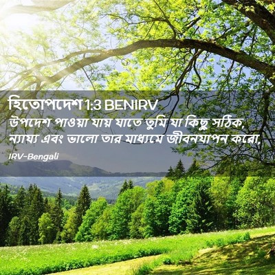 Picture 02 - হিতোপদেশ 1:3 BENIRV - উপদেশ পাওয়া যায় - Bible Verse Picture