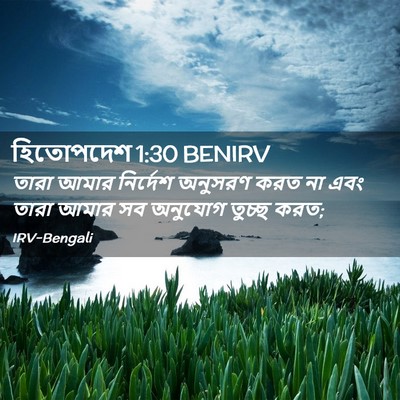 Picture 02 - হিতোপদেশ 1:30 BENIRV - তারা আমার নির্দেশ - Bible Verse Picture