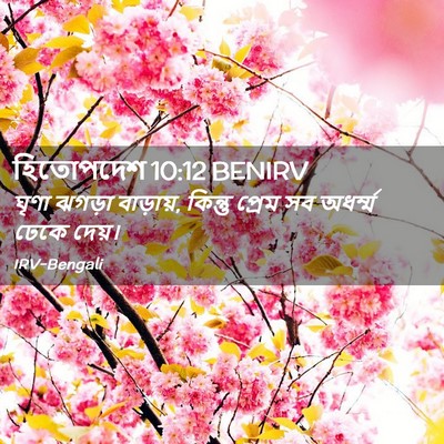 Picture 02 - হিতোপদেশ 10:12 BENIRV - ঘৃণা ঝগড়া - Bible Verse Picture