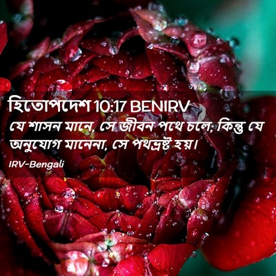 Picture 02 - হিতোপদেশ 10:17 BENIRV - যে শাসন মানে, সে - Bible Verse Picture