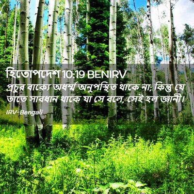 Picture 02 - হিতোপদেশ 10:19 BENIRV - প্রচুর বাক্যে - Bible Verse Picture