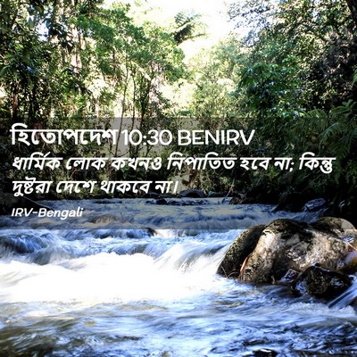 Picture 02 - হিতোপদেশ 10:30 BENIRV - ধার্মিক লোক কখনও - Bible Verse Picture