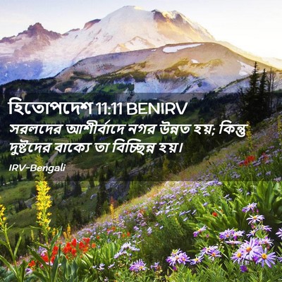 Picture 02 - হিতোপদেশ 11:11 BENIRV - সরলদের আশীর্বাদে - Bible Verse Picture