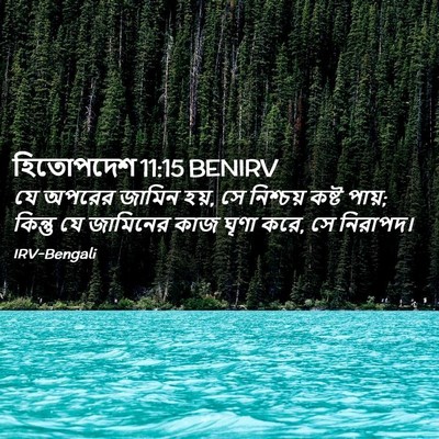Picture 02 - হিতোপদেশ 11:15 BENIRV - যে অপরের জামিন হয়, - Bible Verse Picture
