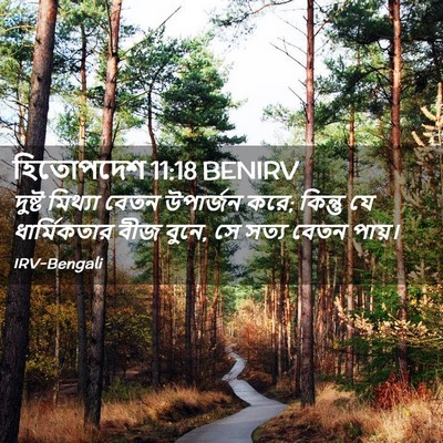 Picture 02 - হিতোপদেশ 11:18 BENIRV - দুষ্ট মিথ্যা বেতন - Bible Verse Picture