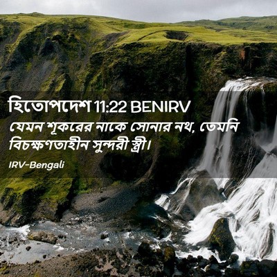 Picture 02 - হিতোপদেশ 11:22 BENIRV - যেমন শূকরের নাকে - Bible Verse Picture