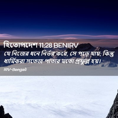 Picture 02 - হিতোপদেশ 11:28 BENIRV - যে নিজের ধনে - Bible Verse Picture