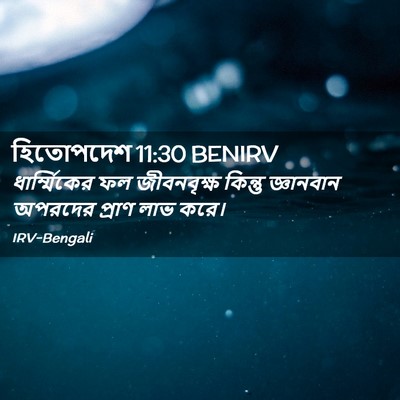 Picture 02 - হিতোপদেশ 11:30 BENIRV - ধার্ম্মিকের ফল - Bible Verse Picture