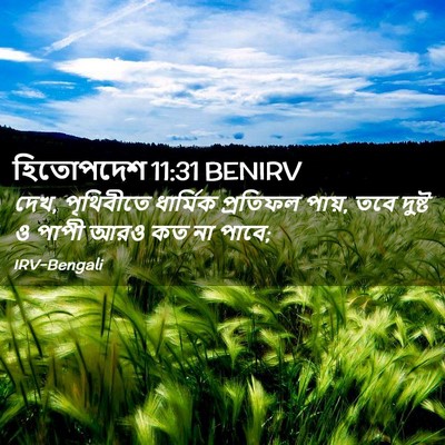 Picture 02 - হিতোপদেশ 11:31 BENIRV - দেখ, পৃথিবীতে - Bible Verse Picture