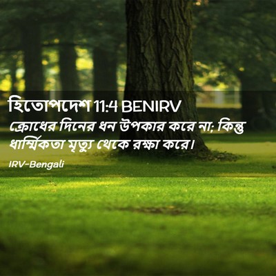 Picture 02 - হিতোপদেশ 11:4 BENIRV - ক্রোধের দিনের ধন - Bible Verse Picture