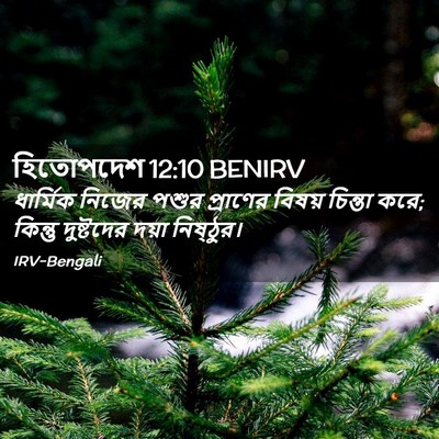 Picture 02 - হিতোপদেশ 12:10 BENIRV - ধার্মিক নিজের - Bible Verse Picture