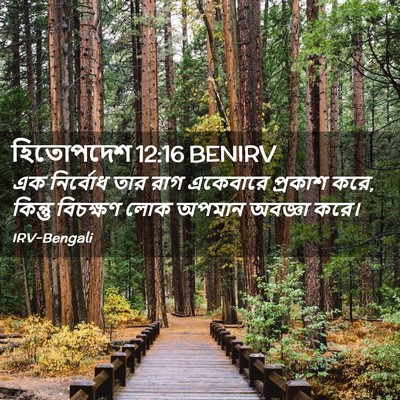 Picture 02 - হিতোপদেশ 12:16 BENIRV - এক নির্বোধ তার রাগ - Bible Verse Picture