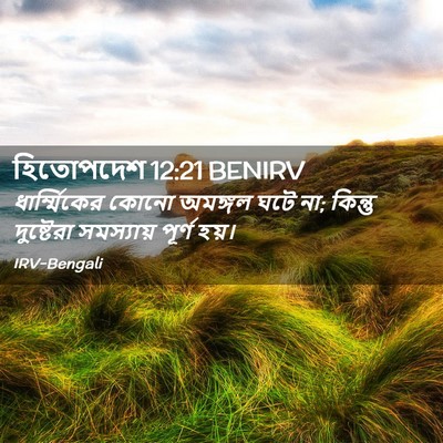 Picture 02 - হিতোপদেশ 12:21 BENIRV - ধার্ম্মিকের কোনো - Bible Verse Picture