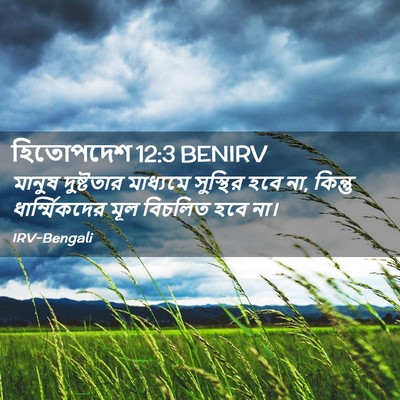 Picture 02 - হিতোপদেশ 12:3 BENIRV - মানুষ দুষ্টতার - Bible Verse Picture