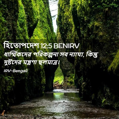 Picture 02 - হিতোপদেশ 12:5 BENIRV - ধার্ম্মিকদের - Bible Verse Picture