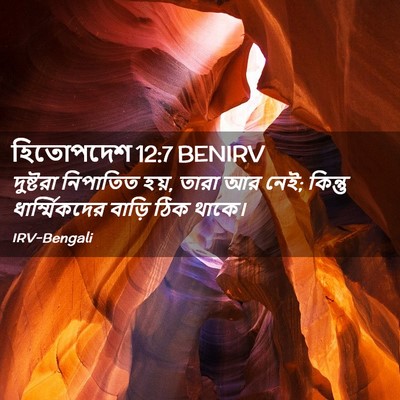 Picture 02 - হিতোপদেশ 12:7 BENIRV - দুষ্টরা নিপাতিত - Bible Verse Picture
