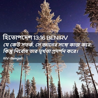 Picture 02 - হিতোপদেশ 13:16 BENIRV - যে কেউ সতর্ক, সে - Bible Verse Picture