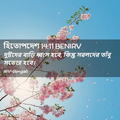 Picture 02 - হিতোপদেশ 14:11 BENIRV - দুষ্টদের বাড়ি - Bible Verse Picture