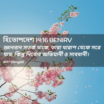 Picture 02 - হিতোপদেশ 14:16 BENIRV - জ্ঞানবান সতর্ক - Bible Verse Picture