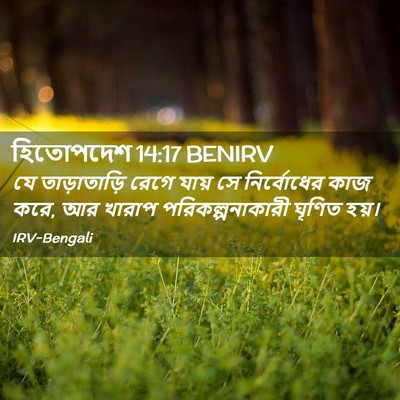 Picture 02 - হিতোপদেশ 14:17 BENIRV - যে তাড়াতাড়ি - Bible Verse Picture