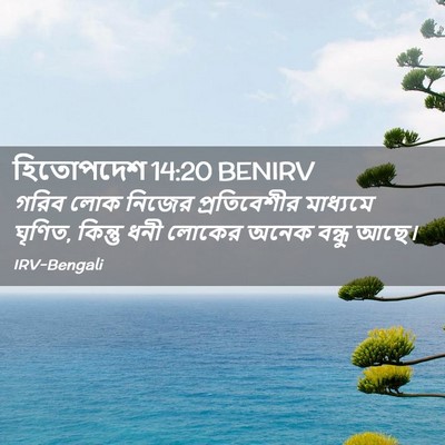 Picture 02 - হিতোপদেশ 14:20 BENIRV - গরিব লোক নিজের - Bible Verse Picture
