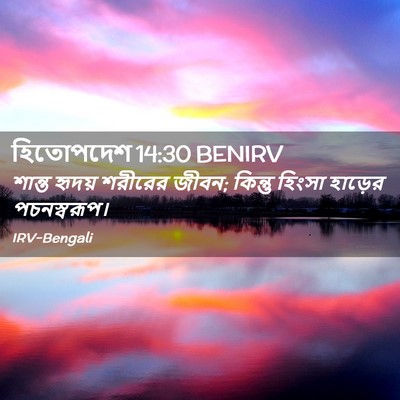 Picture 02 - হিতোপদেশ 14:30 BENIRV - শান্ত হৃদয় - Bible Verse Picture