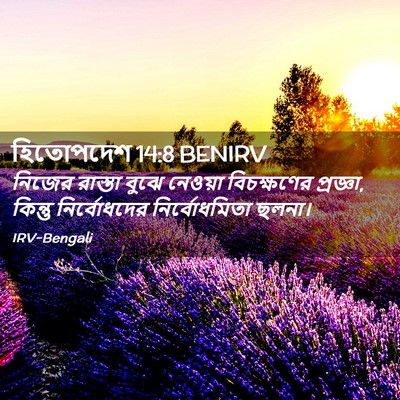 Picture 02 - হিতোপদেশ 14:8 BENIRV - নিজের রাস্তা বুঝে - Bible Verse Picture