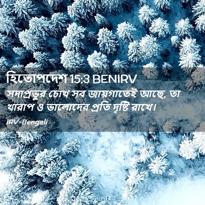 Picture 02 - হিতোপদেশ 15:3 BENIRV - সদাপ্রভুর চোখ সব - Bible Verse Picture