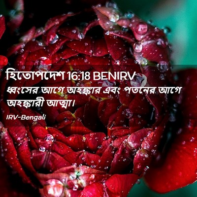 Picture 02 - হিতোপদেশ 16:18 BENIRV - ধ্বংসের আগে - Bible Verse Picture