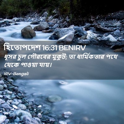 Picture 02 - হিতোপদেশ 16:31 BENIRV - ধূসর চুল গৌরবের - Bible Verse Picture