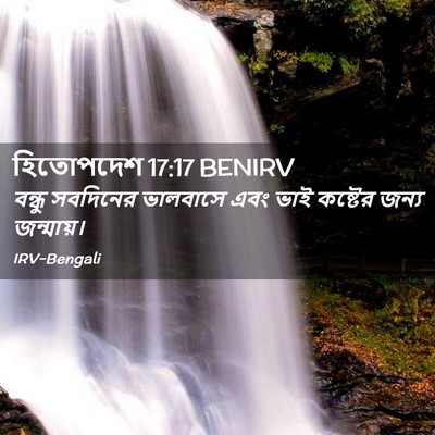 Picture 02 - হিতোপদেশ 17:17 BENIRV - বন্ধু সবদিনের - Bible Verse Picture