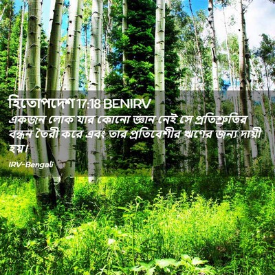 Picture 02 - হিতোপদেশ 17:18 BENIRV - একজন লোক যার কোনো - Bible Verse Picture