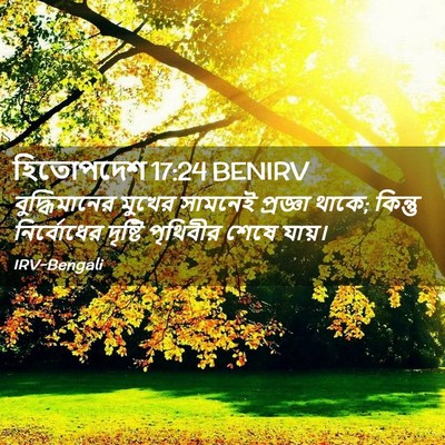 Picture 02 - হিতোপদেশ 17:24 BENIRV - বুদ্ধিমানের মুখের - Bible Verse Picture